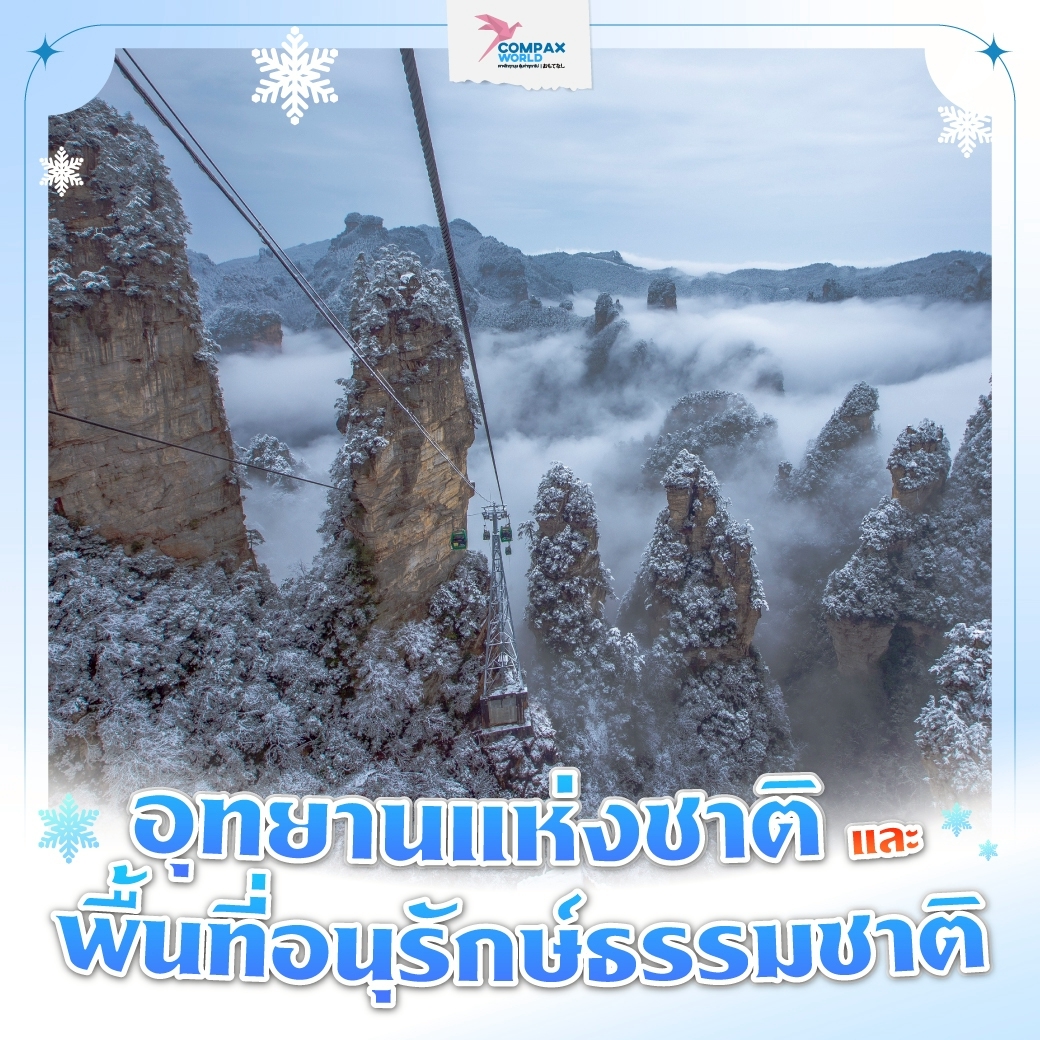 เที่ยวจีน ทัวร์จีน พรีเมี่ยม โปรแกรมเที่ยวจีน